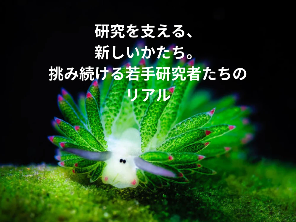 研究を支える、新しいかたち。挑み続ける若手研究者たちのリアル
